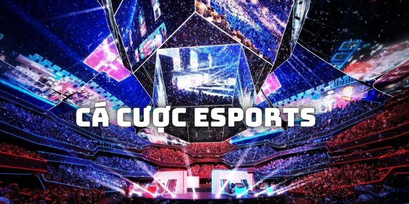 E-Sports Sodo66 đang là sảnh cá cược được ưa chuộng