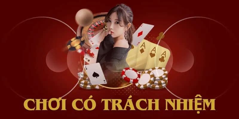 Trách nhiệm về trò chơi đóng một vài trò quan trọng